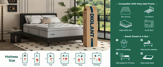 DIGLANT 14 Inch Medium Plush Memory Foam Hybrid Mattress with Individually Pocketed Coils Innerspring, Durable Support & Pressure Relief, Mattress in Box