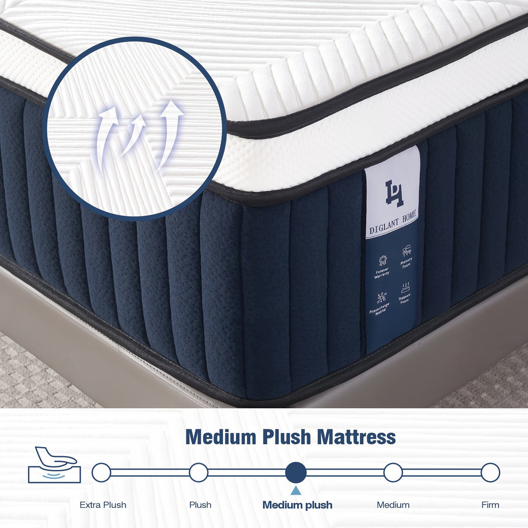 DIGLANT 14 Inch Hybrid Mattress, Medium Plush, Pressure Relieving, CertiPUR-US Certified