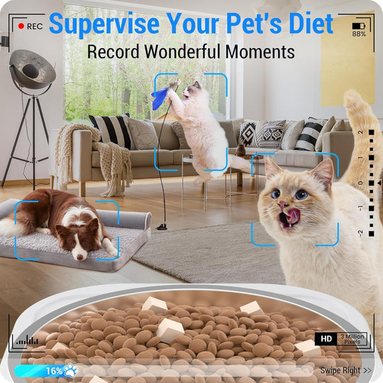 Automatic Cat Feeder with 5G WiFi: Automatic Dog Feeder Large Breed with 7L Dog Food Storage Container, Cat Food Dispenser with Alexa for Multiple Pets, Detachable for Easy Cleaning - 29 Cup